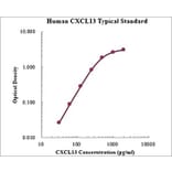 Standard Curve - Human CXCL13 ELISA Kit (EK1105) - Antibodies.com