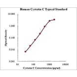 Standard Curve - Human Cystatin C ELISA Kit (EK1114) - Antibodies.com