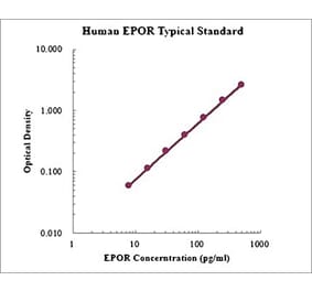 Standard Curve - Human EPOR ELISA Kit (EK1181) - Antibodies.com