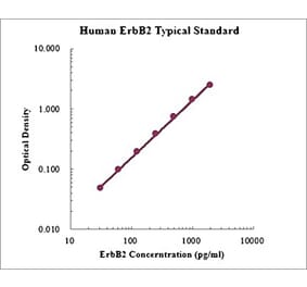 Standard Curve - Human ErbB2 ELISA Kit (EK1182) - Antibodies.com