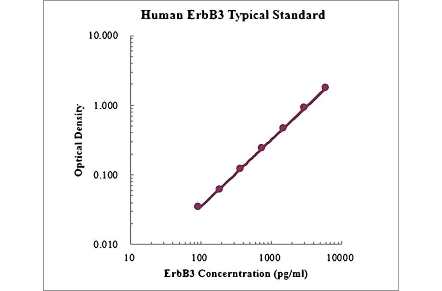 Standard Curve - Human ErbB3 ELISA Kit (EK1187) - Antibodies.com