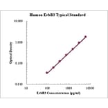 Standard Curve - Human ErbB3 ELISA Kit (EK1187) - Antibodies.com