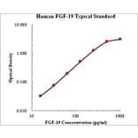 Standard Curve - Human FGF-19 ELISA Kit (EK1113) - Antibodies.com