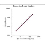 Standard Curve - Human IgA ELISA Kit (EK174) - Antibodies.com