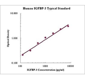 Standard Curve - Human IGFBP-3 ELISA Kit (EK1168) - Antibodies.com