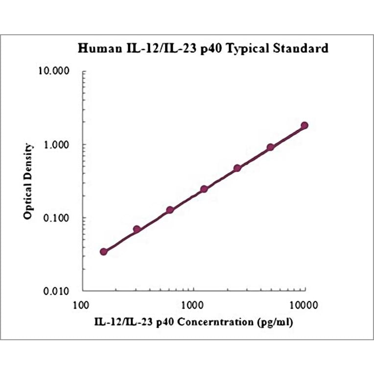Standard Curve - Human IL12 p40 ELISA Kit (EK1183) - Antibodies.com