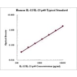 Standard Curve - Human IL12 p40 ELISA Kit (EK1183) - Antibodies.com