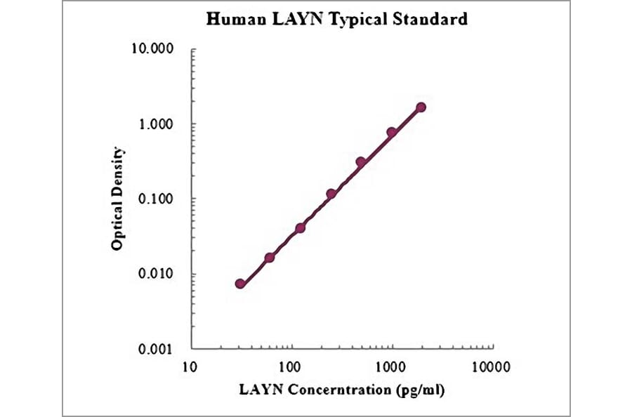 Standard Curve - Human Layilin ELISA Kit (EK1198) - Antibodies.com