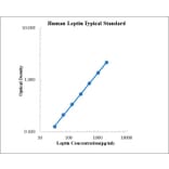 Standard Curve - Human Leptin ELISA Kit (EK197) - Antibodies.com