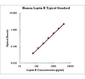 Standard Curve - Human Leptin Receptor ELISA Kit (EK1167) - Antibodies.com
