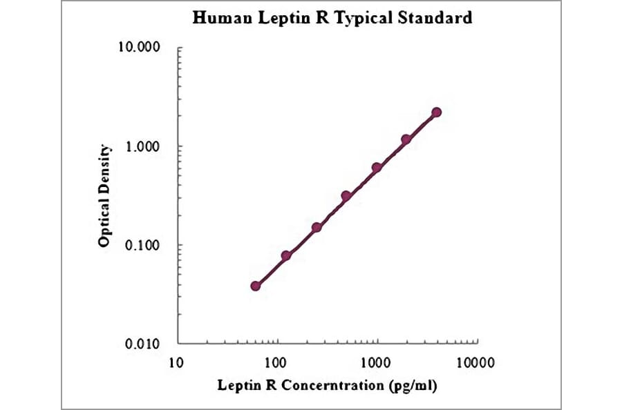 Standard Curve - Human Leptin Receptor ELISA Kit (EK1167) - Antibodies.com