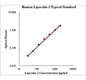 Standard Curve - Human Lipocalin-2 ELISA Kit (EK1116) - Antibodies.com