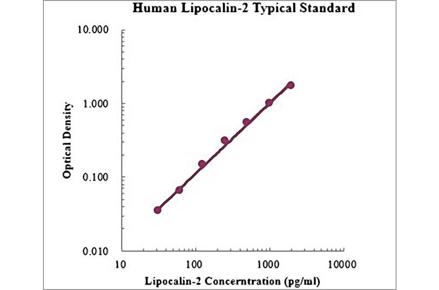 Standard Curve - Human Lipocalin-2 ELISA Kit (EK1116) - Antibodies.com