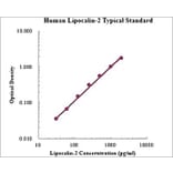 Standard Curve - Human Lipocalin-2 ELISA Kit (EK1116) - Antibodies.com