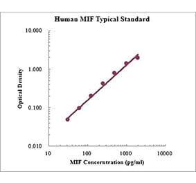 Standard Curve - Human MIF ELISA Kit (EK1158) - Antibodies.com