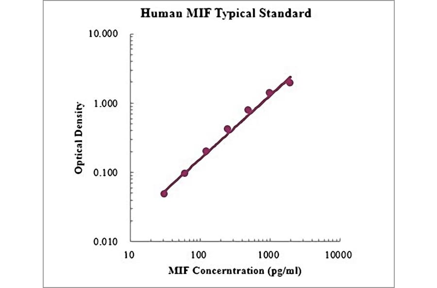 Standard Curve - Human MIF ELISA Kit (EK1158) - Antibodies.com