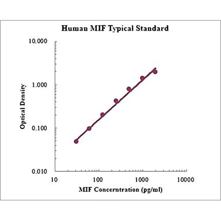 Standard Curve - Human MIF ELISA Kit (EK1158) - Antibodies.com