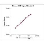 Standard Curve - Human MIF ELISA Kit (EK1158) - Antibodies.com