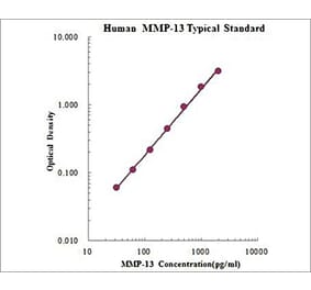 Standard Curve - Human MMP-13 ELISA Kit (EK1M13) - Antibodies.com