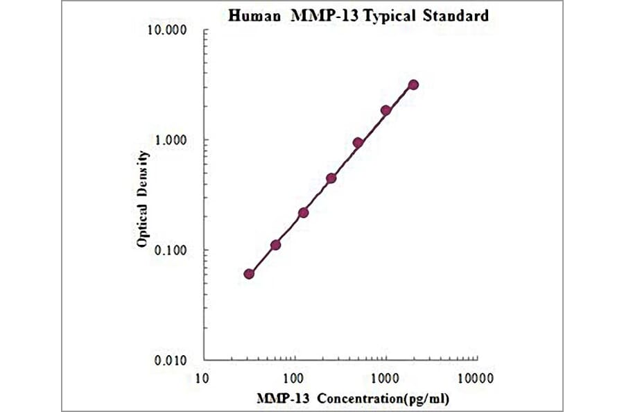 Standard Curve - Human MMP-13 ELISA Kit (EK1M13) - Antibodies.com