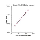 Standard Curve - Human MMP-13 ELISA Kit (EK1M13) - Antibodies.com