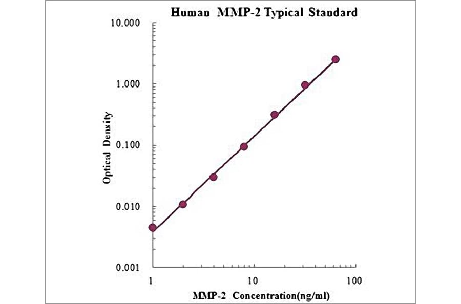 Standard Curve - Human MMP-2 ELISA Kit (EK1M02) - Antibodies.com