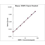 Standard Curve - Human MMP-2 ELISA Kit (EK1M02) - Antibodies.com