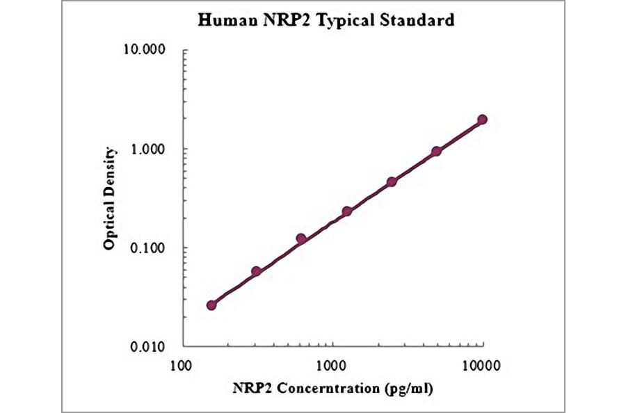 Standard Curve - Human Neuropilin-2 ELISA Kit (EK1172) - Antibodies.com