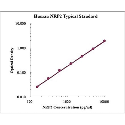 Standard Curve - Human Neuropilin-2 ELISA Kit (EK1172) - Antibodies.com