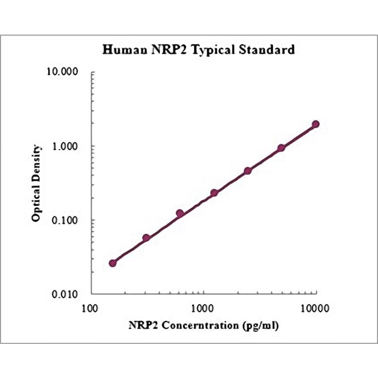 Standard Curve - Human Neuropilin-2 ELISA Kit (EK1172) - Antibodies.com