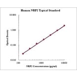 Standard Curve - Human Neuropilin-2 ELISA Kit (EK1172) - Antibodies.com