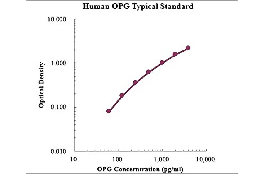 Standard Curve - Human Osteoprotegerin ELISA Kit (EK1134) - Antibodies.com