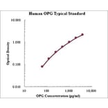 Standard Curve - Human Osteoprotegerin ELISA Kit (EK1134) - Antibodies.com