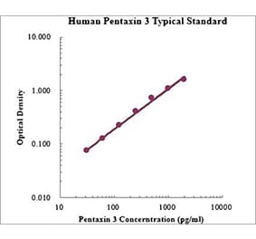 Standard Curve - Human Pentraxin 3 ELISA Kit (EK1157) - Antibodies.com