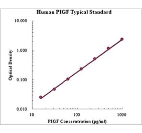 Standard Curve - Human PIGF ELISA Kit (EK1112) - Antibodies.com