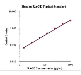 Standard Curve - Human RAGE ELISA Kit (EK1103) - Antibodies.com