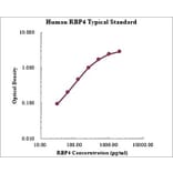 Standard Curve - Human RBP4 ELISA Kit (EK1147) - Antibodies.com