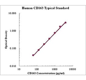 Standard Curve - Human CD163 ELISA Kit (EK1110) - Antibodies.com