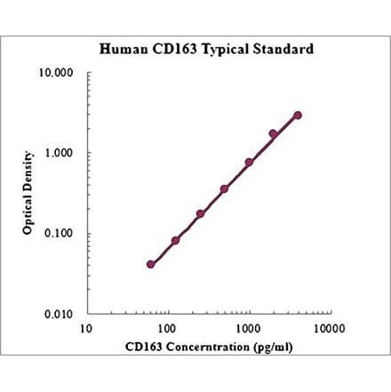 Standard Curve - Human CD163 ELISA Kit (EK1110) - Antibodies.com