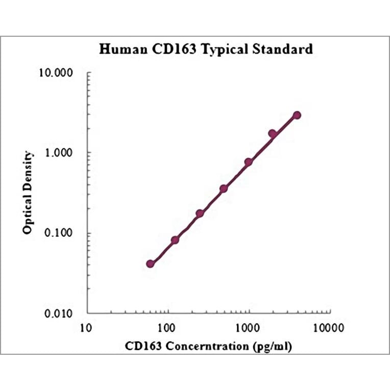 Standard Curve - Human CD163 ELISA Kit (EK1110) - Antibodies.com