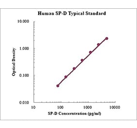 Standard Curve - Human SP-D ELISA Kit (EK1166) - Antibodies.com