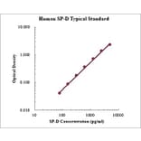 Standard Curve - Human SP-D ELISA Kit (EK1166) - Antibodies.com
