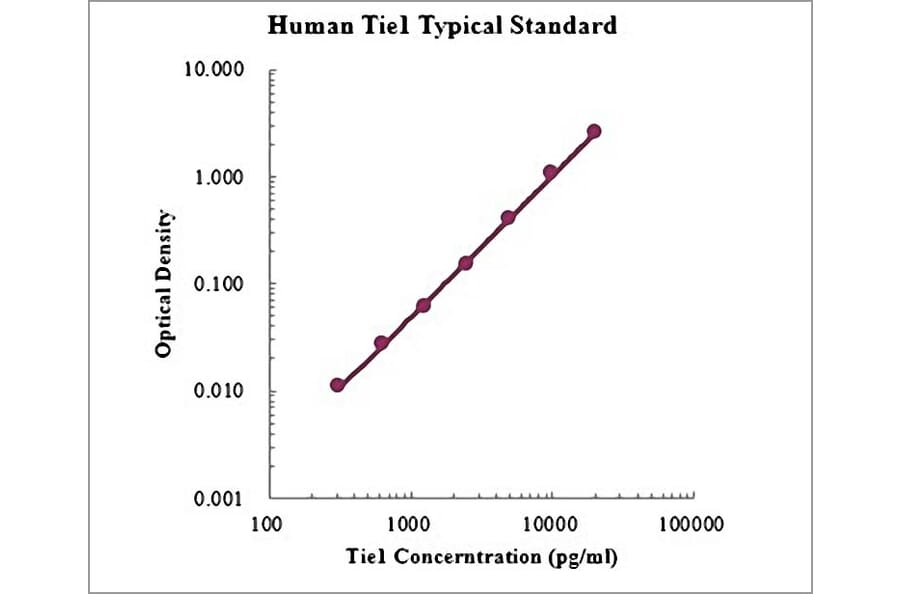Standard Curve - Human Tie1 ELISA Kit (EK1200) - Antibodies.com