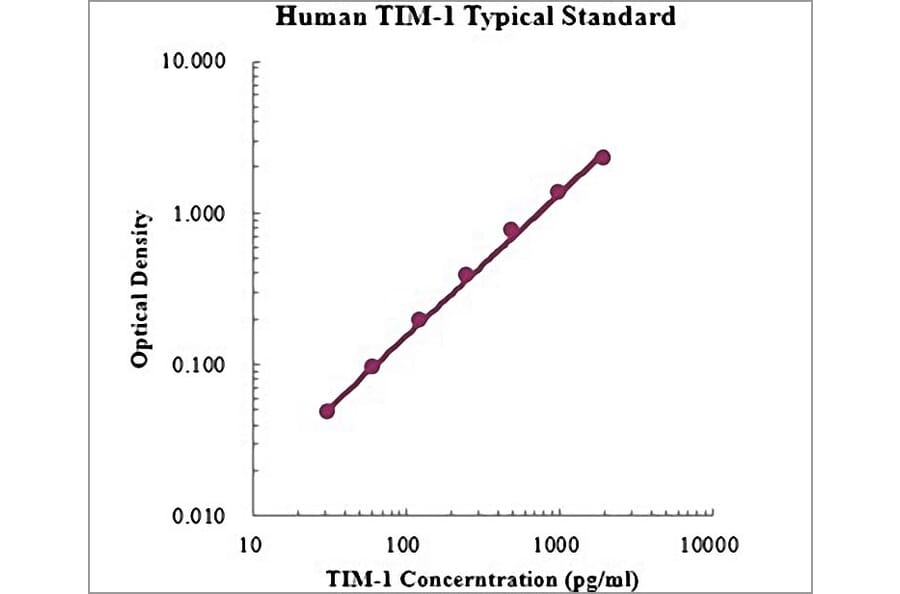 Standard Curve - Human TIM-1 ELISA Kit (EK1118) - Antibodies.com