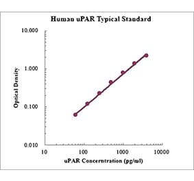 Standard Curve - Human uPAR ELISA Kit (EK1171) - Antibodies.com