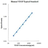 Standard Curve - Human Vascular Endothelial Growth Factor ELISA Kit (EK183) - Antibodies.com