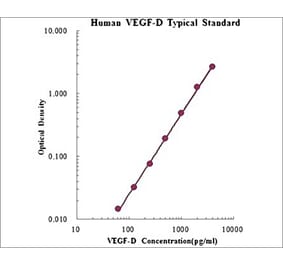Standard Curve - Human VEGF-D ELISA Kit (EK1140) - Antibodies.com