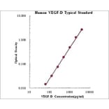 Standard Curve - Human VEGF-D ELISA Kit (EK1140) - Antibodies.com