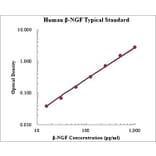 Standard Curve - Human beta Nerve Growth Factor ELISA Kit (EK1141) - Antibodies.com