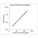 Standard Curve - Mouse CCL22 ELISA Kit (EK2216) - Antibodies.com